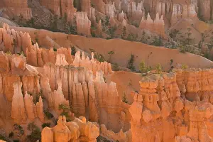 Amphitheatre: Pinnacles of limestone rock (so-called hoodoos)