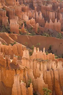Hoodoos: Pinnacles of limestone rock (so-called hoodoos)