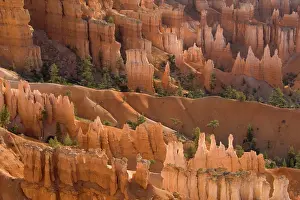 Hoodoos: Pinnacles of limestone rock (so-called hoodoos)