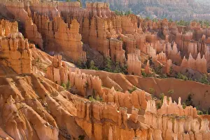 Hoodoos: Pinnacles of limestone rock (so-called hoodoos)