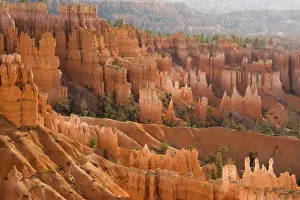 Hoodoos: Pinnacles of limestone rock (so-called hoodoos)