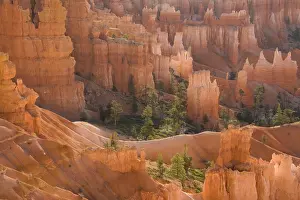 Hoodoos: Pinnacles of limestone rock (so-called hoodoos)