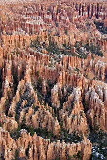 Hoodoos: Pinnacles of limestone rock (so-called hoodoos)