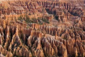 Hoodoos: Pinnacles of limestone rock (so-called hoodoos)
