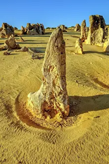 Unlimitedness: The Pinnacles, Nambung National Park, Western