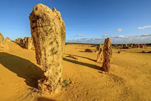Unlimitedness: The Pinnacles, Nambung National Park, Western