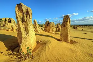 Unlimitedness: The Pinnacles, Nambung National Park, Western