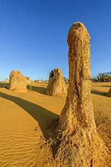 Unlimitedness: The Pinnacles, Nambung National Park, Western