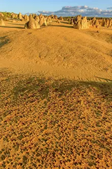 Unlimitedness: The Pinnacles, Nambung National Park, Western