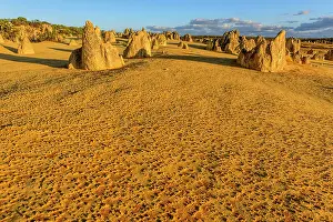 Unlimitedness: The Pinnacles, Nambung National Park, Western