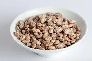 Ceramic: Pinto Beans