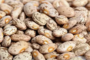 Ceramic: Pinto Beans