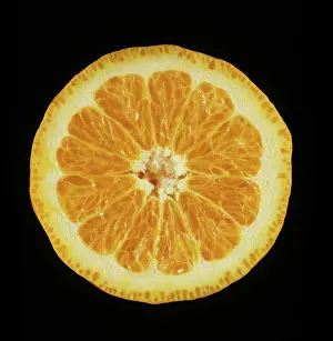 Segment: Pixie Mandarin orange