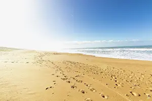 Line: Plage de la TerriA re, La Tranche-sur-Mer, Pays de