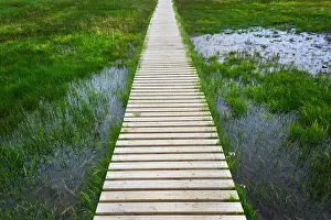 Plank: A plank pathway in Landmannalaugar, Iceland