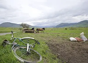 Bicycle: Plantation of potatoes with a horse Romania