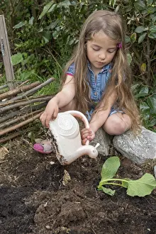 Step: Plantation step by step of squashes by little girls