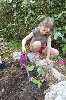 Step: Plantation step by step of squashes by little girls
