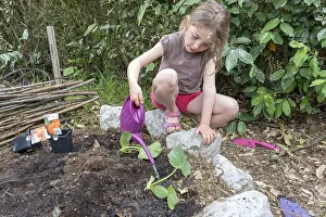 Step: Plantation step by step of squashes by little girls