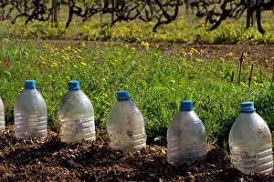 Greenhouses: Plastic bottle recycling as mini-greenhouses