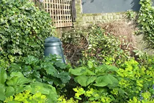Compost: Plastic Compost Bin in garden corner