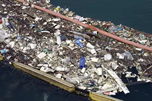 Plastic: Plastic debris, Los Cerritos Channel