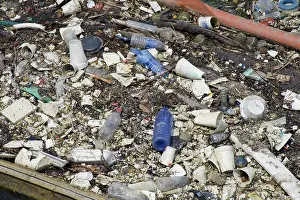 Plastic: Plastic debris, Los Cerritos Channel