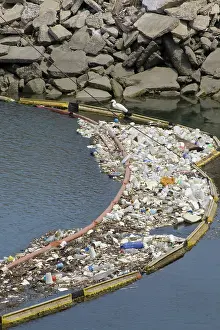 Plastic: Plastic debris, Los Cerritos Channel
