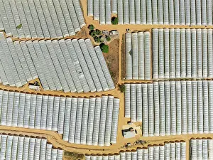 Plastic: Plastic greenhouses with strawberry cultivations