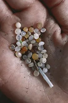 Collected: Plastic Particles Collected from Caribbean Beach