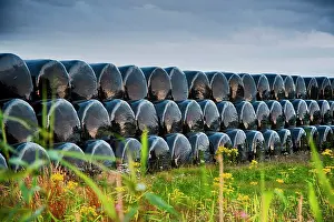 Stacked: Plastic wrapped round silage bales stacked in the