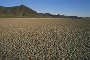 Parched: Playa in Nevada