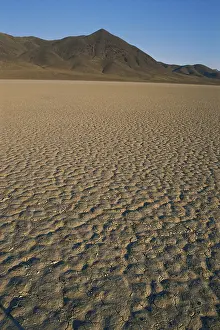 Parched: Playa in Nevada