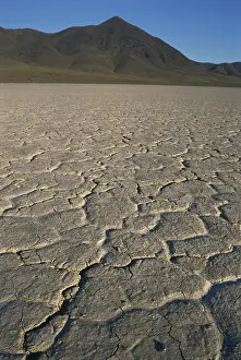Parched: Playa in Nevada