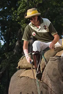 Competitions: Player on Elephant at the World Elephant Polo Terai Nepal