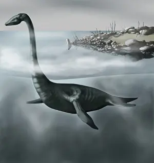 Triassic: Plesiosaur