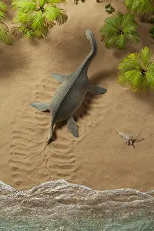Plesiosaur: Plesiosaur crawls ashore for nesting-site. Length: