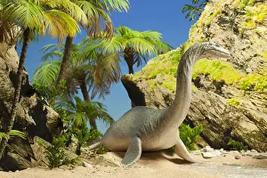 Plesiosaur: Plesiosaur on island. Lenght: 23 feet. Cretaceous