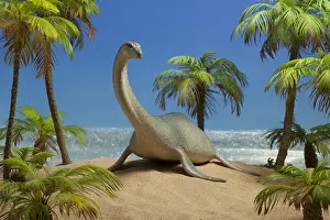 Plesiosaur: Plesiosaur on island nesting-ground. Lenght: 23