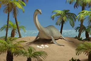 Plesiosaur: Plesiosaur at nest-site with her eggs. Lenght: 23