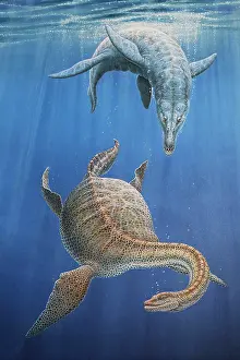 Plesiosaur: Pliosaur hunting a Plesiosaur