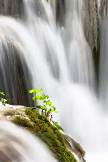 Croatia: The Plitvice Lakes in the National Park