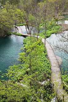 Croatia: The Plitvice Lakes in the National Park