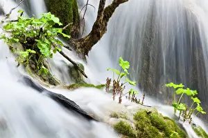 Croatia: The Plitvice Lakes in the National Park