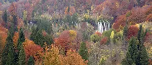 Plitvice: Plitvice National Park, Croatia