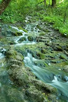 Plitvice: Plitvice waterfall in forest