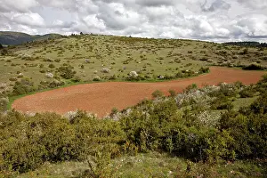 Ploughed: Ploughed field in a former swallow-hole or doline