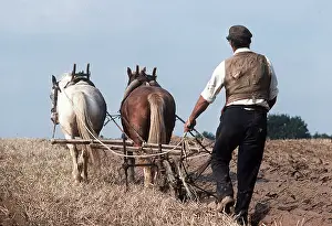 Farmers: PLOUGHING HORSES