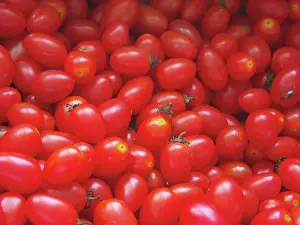 Plum: Plum Tomatoes