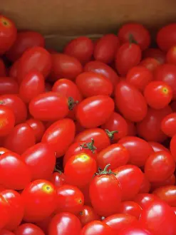 Plum: Plum Tomatoes
